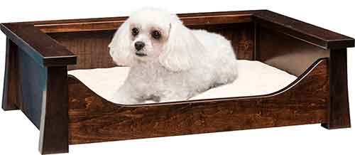 Springville Small Pet Lounge with Pad - Click Image to Close